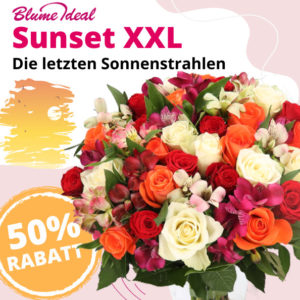 🌄 30 Stiele "Sunset" mit 100 Blüten für 17,99€ zzgl. Versand - Rosen &amp; Inkalilien