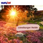Luendeburger_Heide