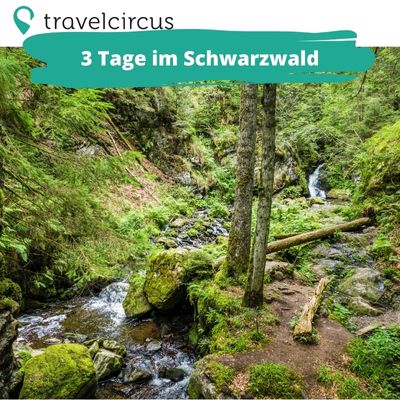 Thumbnail 🌲 Wohlfühlen im Schwarzwald: 3 Tage im Hotel + Frühstück &amp; Eintritt in die Therme ab 119€ pro Person