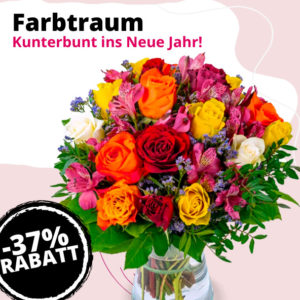 💐 Blume Ideal: Blumenstrauß "Farbtraum" mit Rosen &amp; Inkalilien für 24,99€ zzgl. Versand