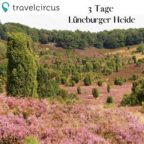 Lueneburger_Heide