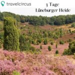 Lueneburger_Heide