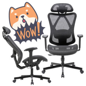 TOP-Preis! 🪑 SYNO WAVE Ergo Chair Bürostuhl 94€ inkl. Versand (statt 149€)