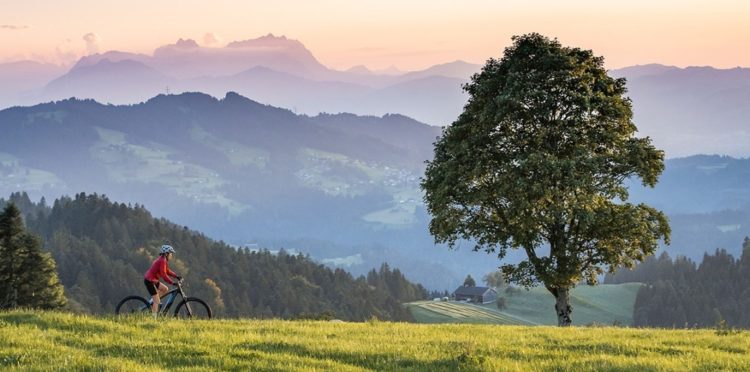 Bregenzer Wald in Vorarlberg