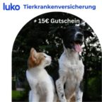 luko_Tierkrankenversicherung