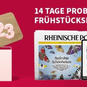 temp_9920da87-5001-47c0-9d64-d6561471009e