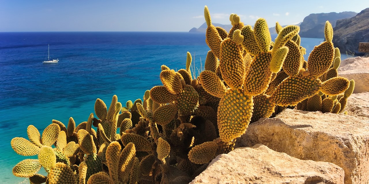 Blick aufs Meer in Spanien