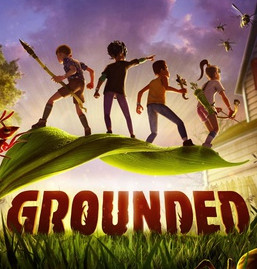 Grounded Spiel-Cover
