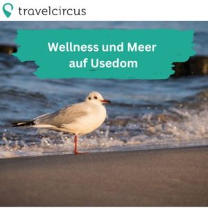 🏝️ Wellness auf Usedom: 3 Tage an der Ostsee inkl. Frühstück und 1x Dinner ab 238€ (statt 268€ - ohne Dinner)