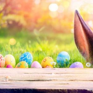 temp_e5f54dc8-b63f-484a-acdf-0d60b85d0dc9