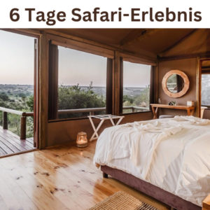 🦁 Safari in Südafrika: 6 Tage im Hlosi Game Lodge ab 599€ pro Person