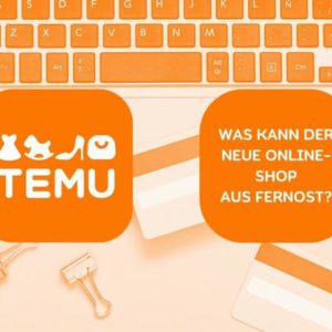 Temu_DD_Beitrag