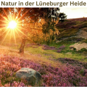 🌻 Natur in der Lüneburger Heide: 3 Tage im Hotel Zur Heidschnucke inkl. HP & Wellness ab 129€ pro Person