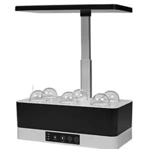 image_picker_ABFDBAD5-696B-46DA-A741-218B00E86CF1-4503-000000AEF5724E6C