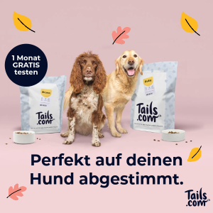 Thumbnail 🐶🍖 GRATIS: 4 Wochen individuelles Futter für euren Hund testen (nur 2€ Versandkosten)