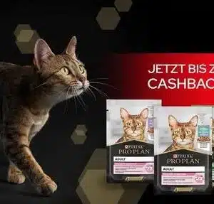 scaled_DE_PURINA_PROPLAN_0823_Cat_NassCashbackKampagne_Aktionsseite_HeroSmall_Desktop_895x504_Retina