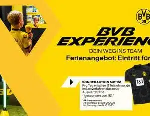 scaled_G-Experience-Aktion_bvbnachrichtenbild_small