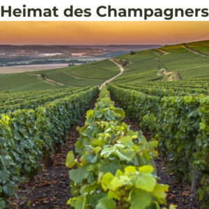 🥂 Heimat des Champagners: 3 Tage im Best Western Le Relais du Vigneron inkl. Frühstück ab 99€ pro Person