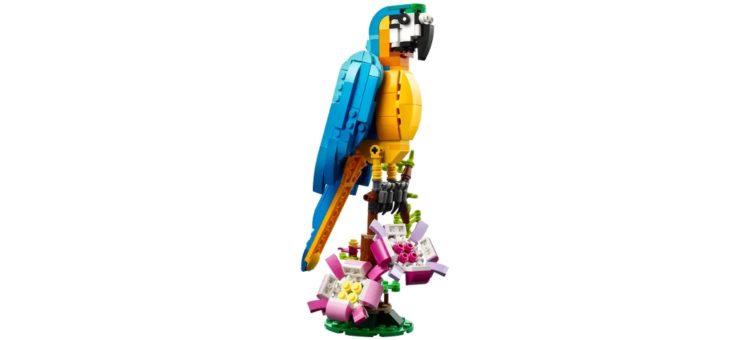 LEGO Creator 3in1 Exotischer Papagei, Frosch & Fisch