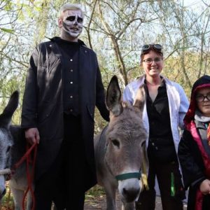 Kostenloser Eintritt im Zoopark Erfurt zum großen Halloween-Fest am 31.10.2023 für Kinder im Kostüm -regional-