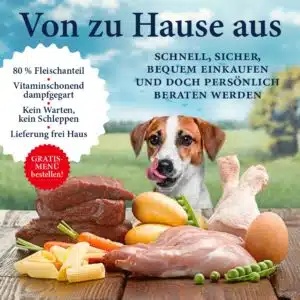 scaled_header_statisch_1000x1000