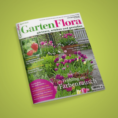 Thumbnail 🌺 GartenFlora Jahresabo für 9,90€
