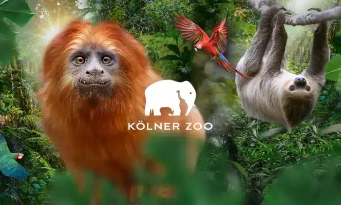 Tagesticket für den Kölner Zoo & Aquarium