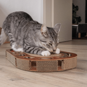 🐾 Pfotenolymp Katzenspielplatz für 14,99€ (statt 30€)