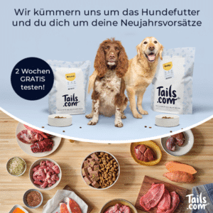 🐶🍖 GRATIS: 4 Wochen individuelles Futter für euren Hund testen (nur 2€ Versandkosten)