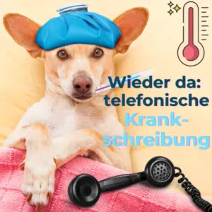 Die telefonische Krankschreibung ist zurück - so spart ihr euch den Aufenthalt im Wartezimmer!