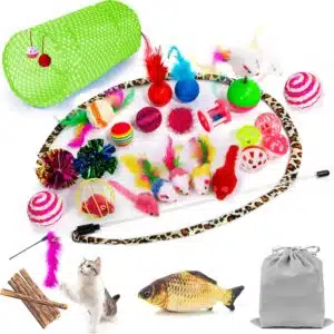 81MzFDkrYBS._AC_SL1500_