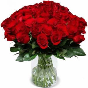 e397dc2de0fc60bd5548e45a1d66265a2df9f5e325752845f5c3845a41e63ba9