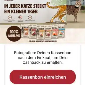 Screenshot_20240208_200958_scondoo