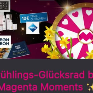 Frühlings Glücksrad bei Magenta Moments