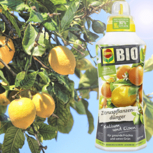 🍋 COMPO BIO Dünger für Zitruspflanzen, 500 ml, für 5,94€ (statt 10€) 😍