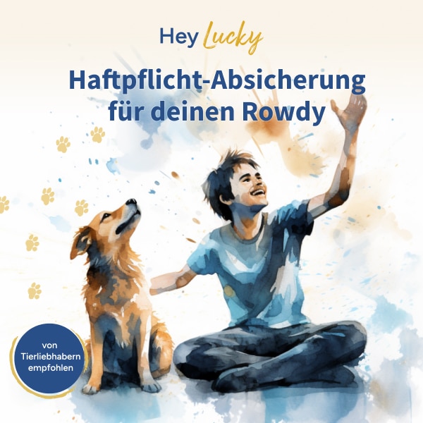 Thumbnail 🐕‍🦺 HeyLucky: Hundehaftpflichtversicherung abschließen + dauerhaft 15% - 20% Gutscheine für Hundebedarf abstauben