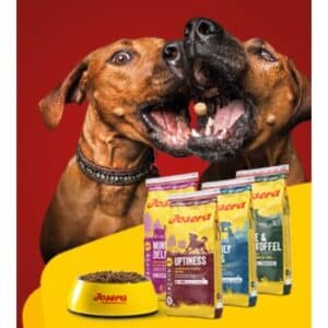 Gratis Josera Futterproben für den Hund + 5 €-Gutschein