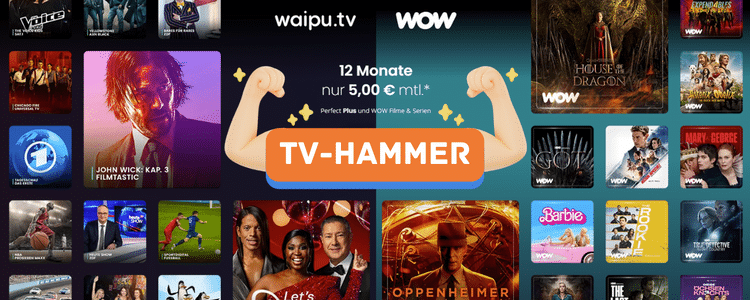 TV-HAMMER