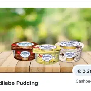 nur noch heute!! Landliebe Pudding für 19 Cent