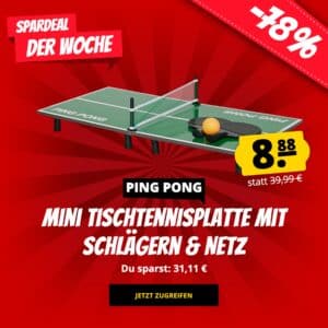 🏓 PING PONG Mini Tischtennisplatte