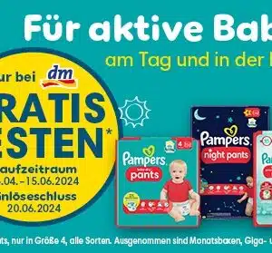 Pampers Pants Größe 4 (DM)