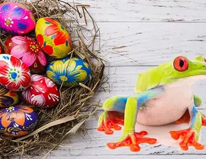 Ashampoo_Snap_Montag_1._April_2024_23h37m46sdl9