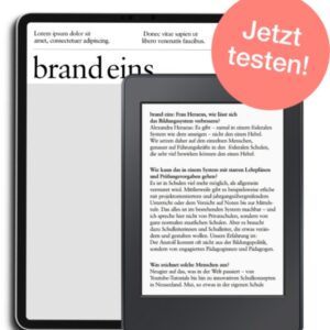 💻3 Digital-Ausgaben brand eins gratis❗