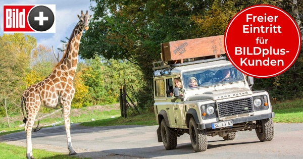Gratis Eintritt Serengeti Park BILDplus