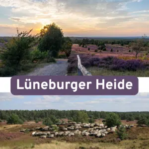 🍂 Lüneburger Heide: 3 Tage Hotel in der Natur + Halbpension & Zugang zum Wellnessbereich ab 159€ pro Person