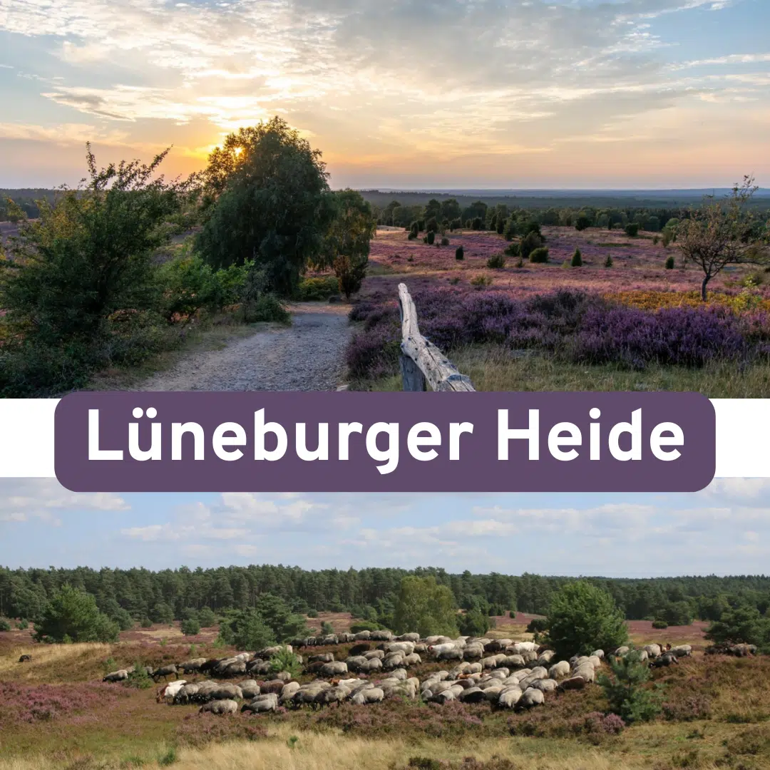 Thumbnail 🍂 Lüneburger Heide: 3 Tage Hotel in der Natur + Halbpension &amp; Zugang zum Wellnessbereich ab 159€ pro Person