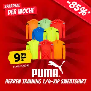 PUMA teamFINAL 1/4 Zip Herren Sweatshirt ✅ 9 verschiedene Farben zur Auswahl