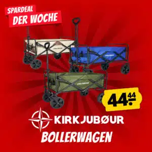 Günstige Fuxtec Alternative?! 🛒 SportSpar Bollerwagen mit bis zu 110 kg Belastbarkeit