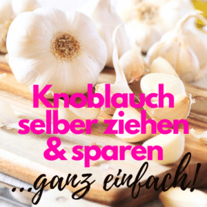 Knoblauch pflanzen, stecken, ernten: So geht's! 🧄