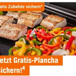 Gratis Plancha von Weber beim Kauf eines neuen Gasgrill von Weber [Obi]